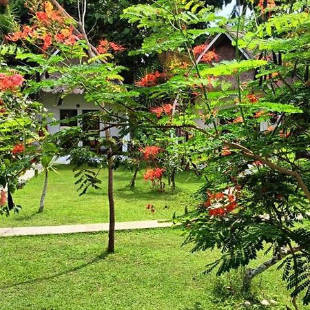 Namaste Bungalows Sakti Екстер'єр фото